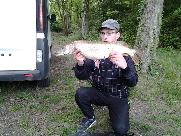 brochet 4 kl flo.jpg